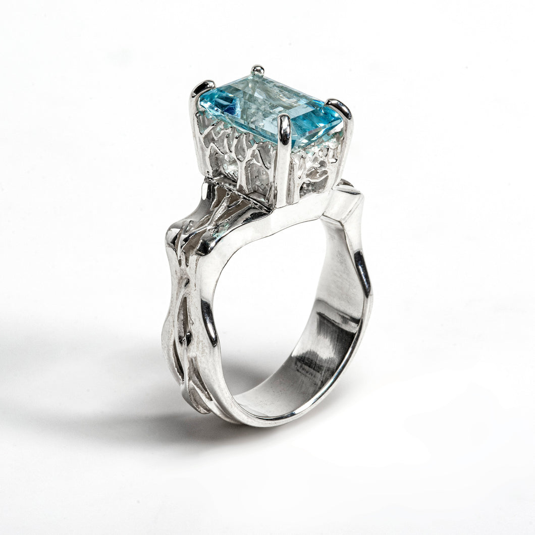 Aquamarine Country Scene Ring 2022 Edition
